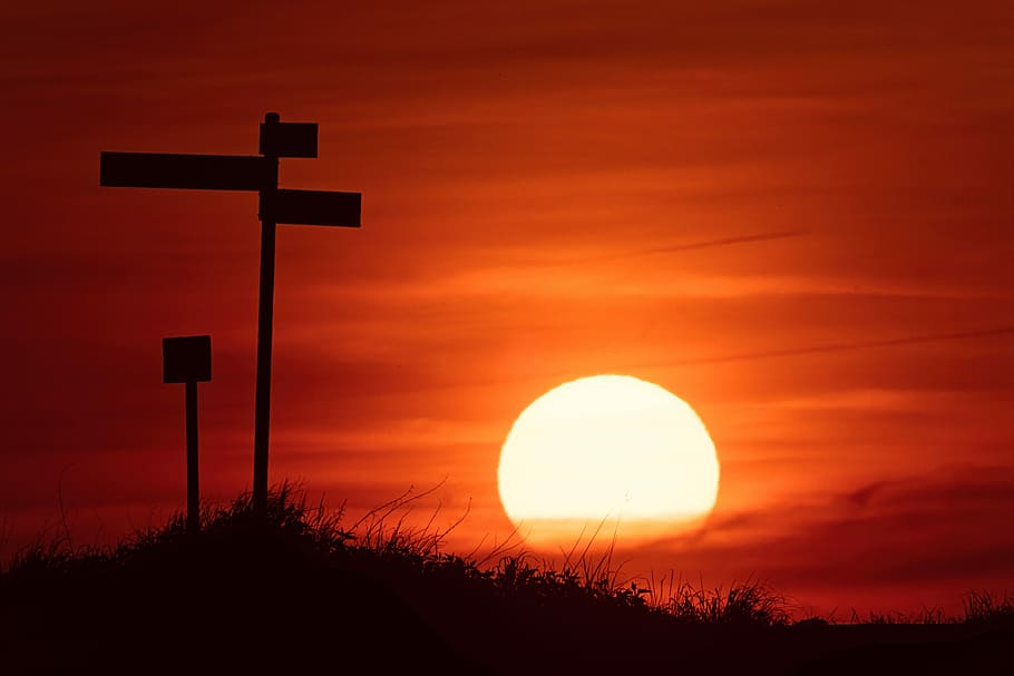 silhouette of black post during sunset, silhouette of signages during sunset HD wallpaper