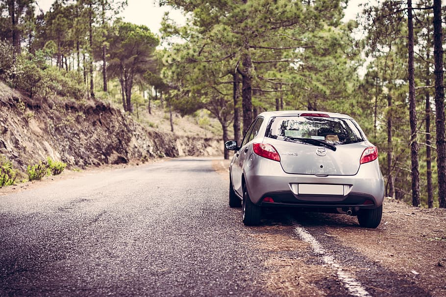 silver vehicle beside asphalt road during daytime, camera, car HD wallpaper
