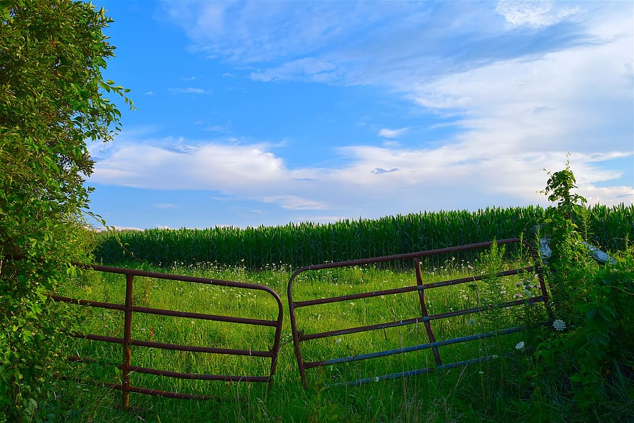 fence, field, farm, sunset, landscape, nature, green, sky, grass HD wallpaper