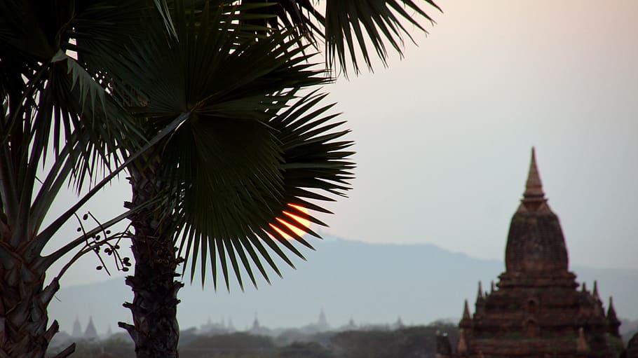 bagan, myanmar, sun, palm, temple, asia, pagoda, buddhism, temple - Building HD wallpaper