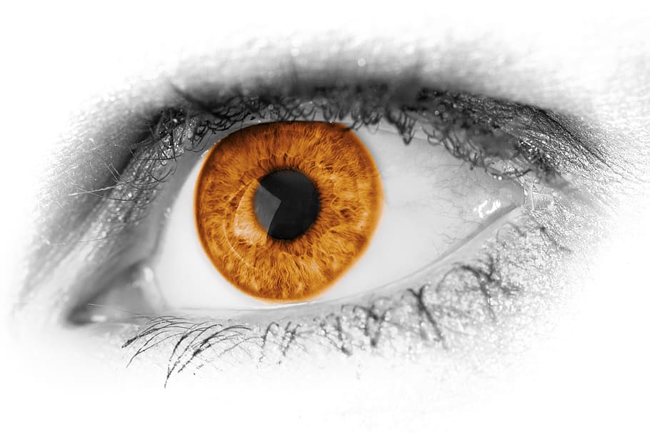 closeup photo of human eye, abstract, beautiful, beauty, brown HD wallpaper