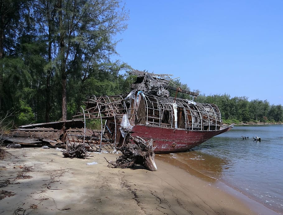 Tree Trunk, Fallen, Forest, House, House-Boat, wrecked, karwar HD wallpaper