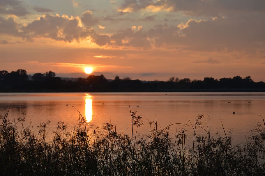 sunset, water, dawn, nature, reflection, sky, beauty in nature HD wallpaper