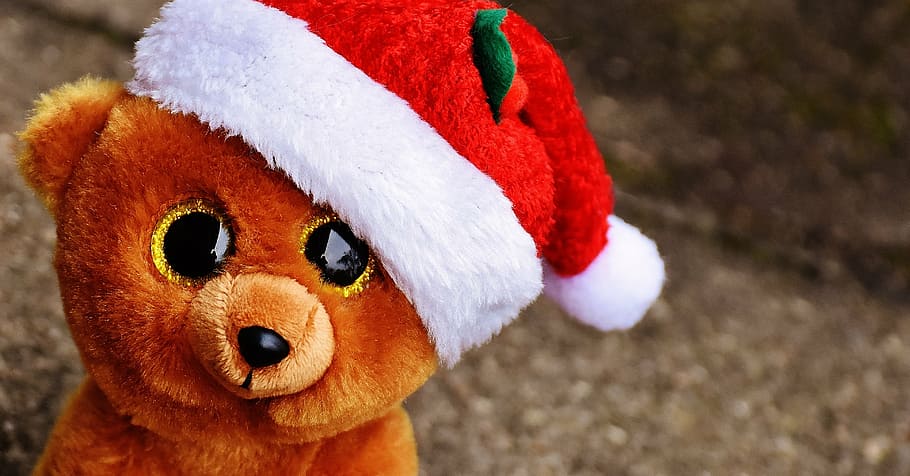 selective focus photo of brown bear wearing Santa hat plush toy