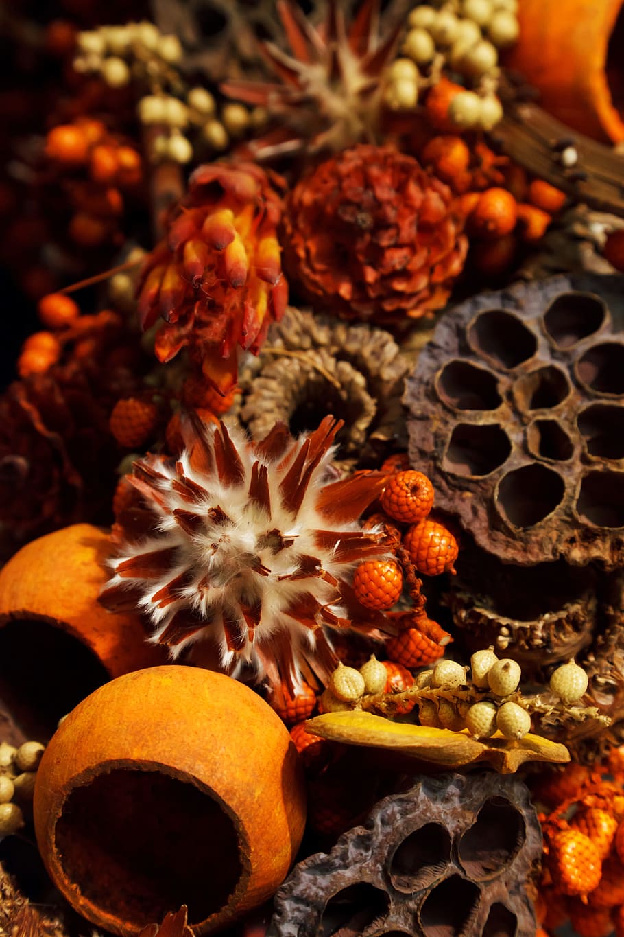 photo of dried flowers, aroma, aromatherapy, autumn, background HD wallpaper