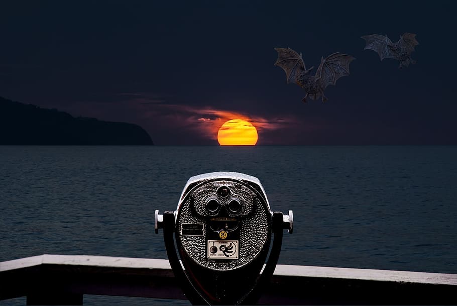 gray and black telescope with scenery of sunset illustration HD wallpaper