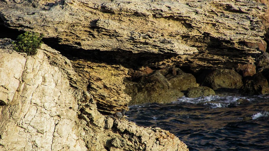 rock, sharp, wild, sea, nature, geology, cyprus, ayia napa HD wallpaper