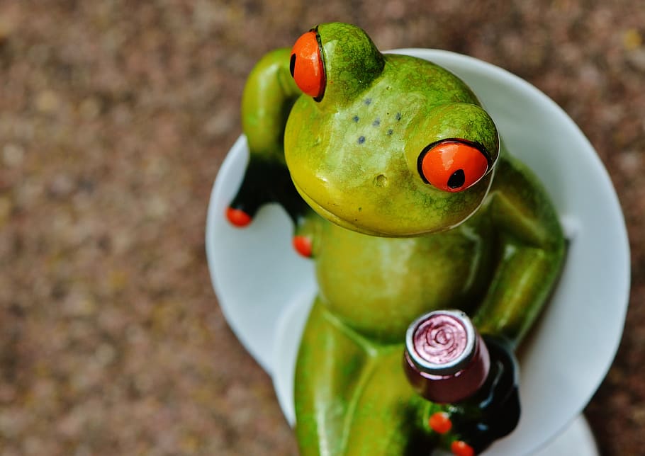 frog, chick, funny, cocktail, drink, cute, chair, sit, sweet HD wallpaper