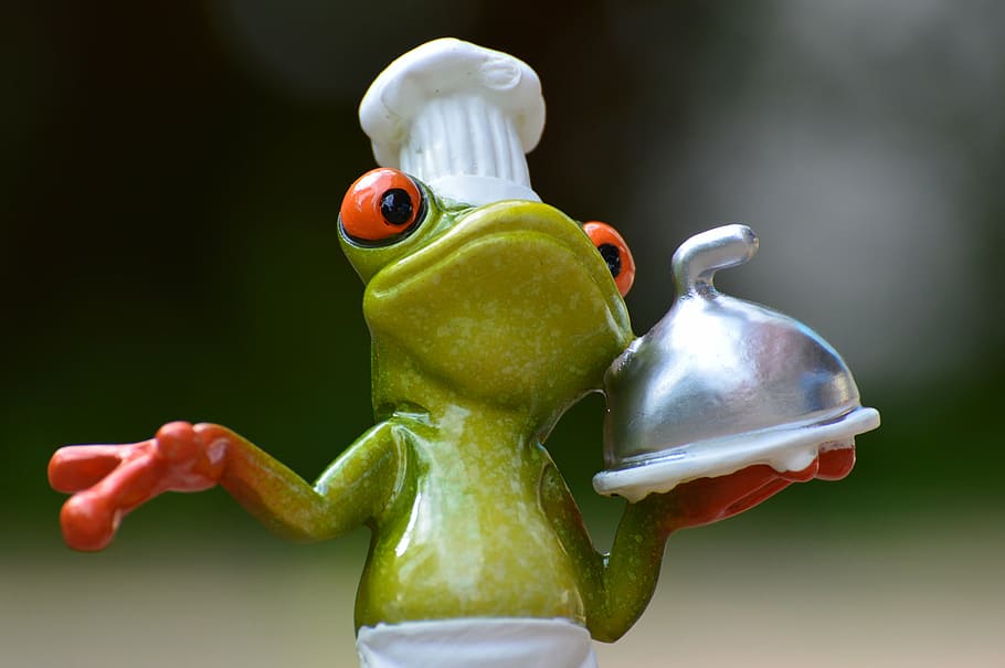 selective focus photography of green frog holding white tray HD wallpaper