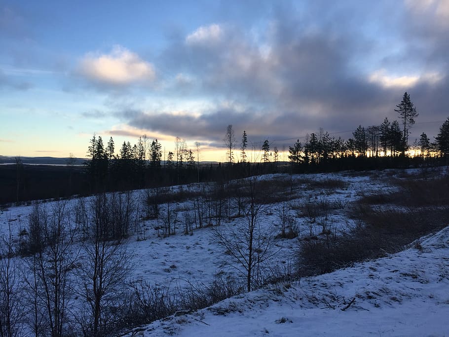 himmel, nature, cloud, winter, snow, forest, tree, sunset, landscape HD wallpaper