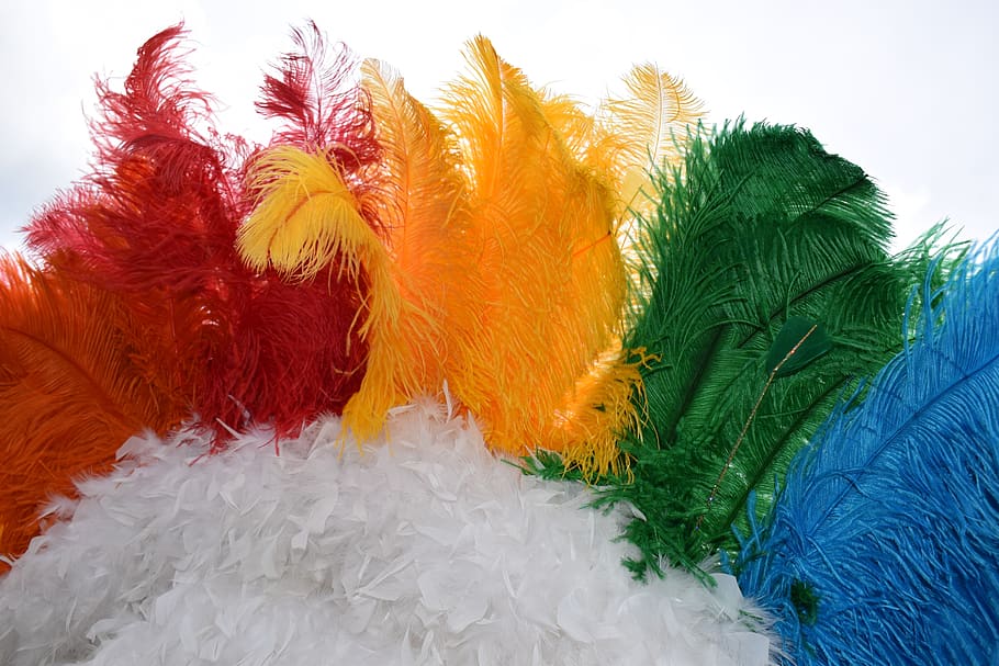 pride, feathers, headdress, multi colored, close-up, no people HD wallpaper