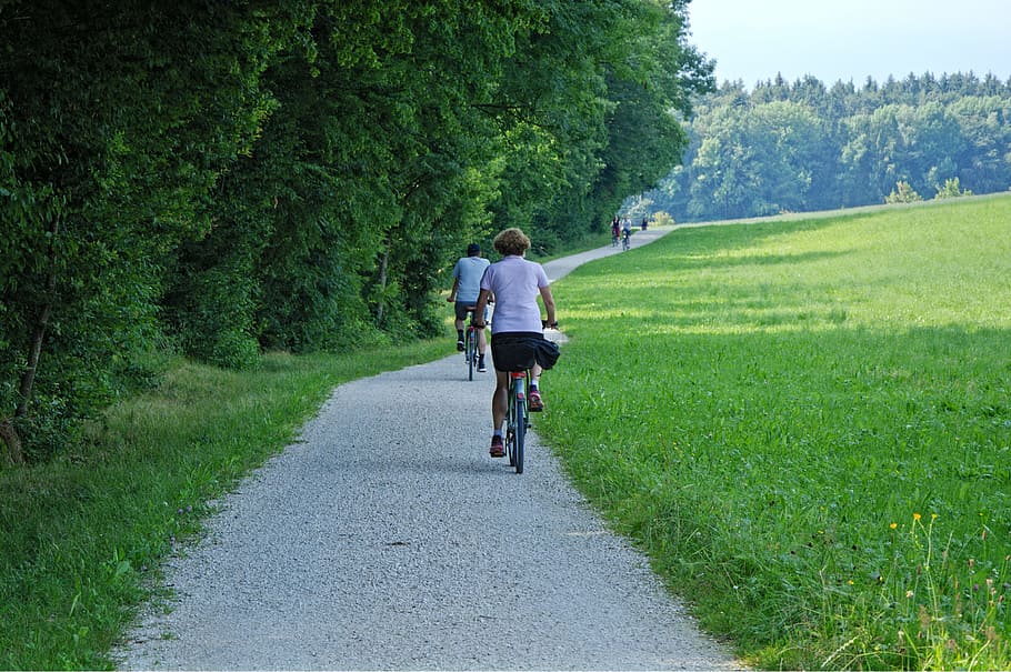 woman riding bicycle on pathway between green grass and trees at daytime, HD wallpaper