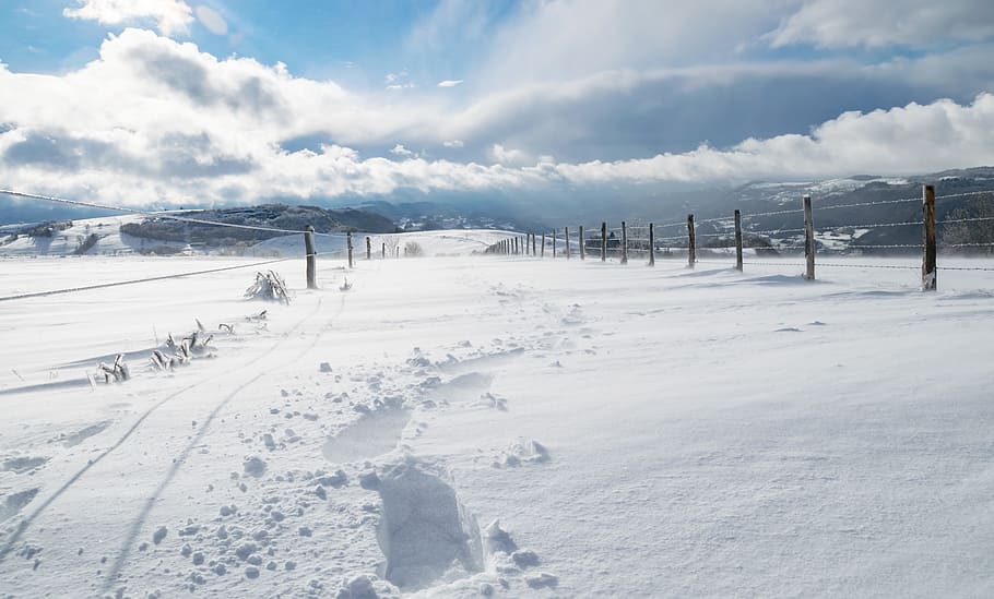 snowfield beside fence, winter, nature, cold, frozen, cold temperature HD wallpaper
