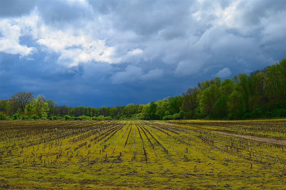 Farm, Clouds, Nature, Field, Landscape, sky, rural, agriculture HD wallpaper