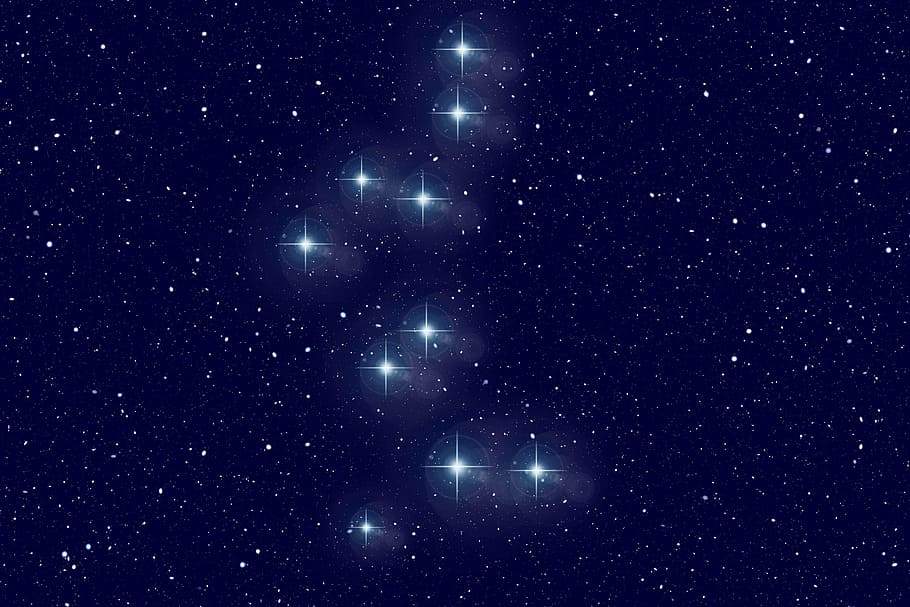 white stars digital wallpaper, bear guardian, constellation, universe