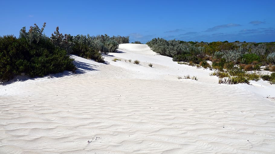 Dune, Australia, Quartz Sand, nature, day, the way forward HD wallpaper