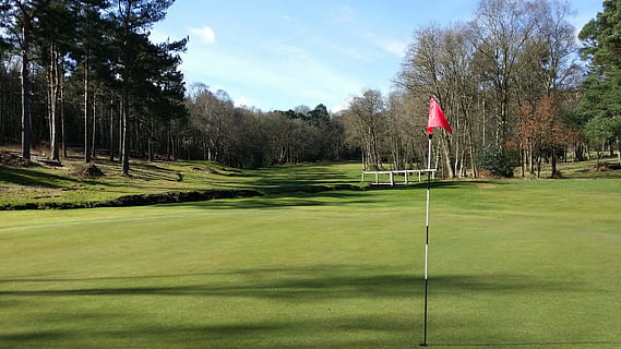 Golf, Green, Green, Grass, Golfing, Golfball, putting, flag HD wallpaper