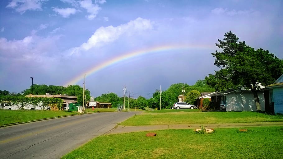 rainbow, scene, landscape, scenery, sky, color, plant, tree HD wallpaper
