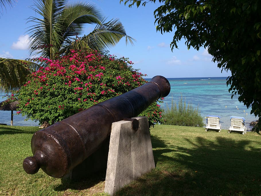 Mauritius, Beach, Palm Trees, gun, exotic, sea, holiday, sky HD wallpaper