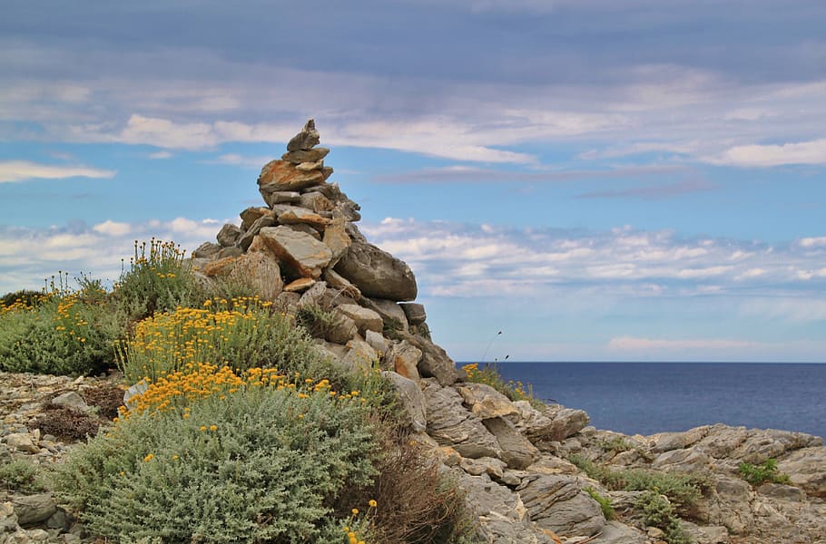 rocks beside plants, trail, directory, signposts, hiking trails