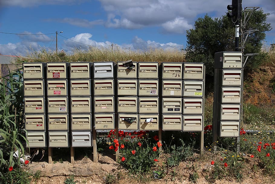 mailbox, post, post mail box, throw a, strange, nature, plant HD wallpaper