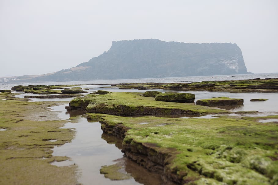 Optical Device, Ebb, Holy Mountain, the optical device, nature HD wallpaper