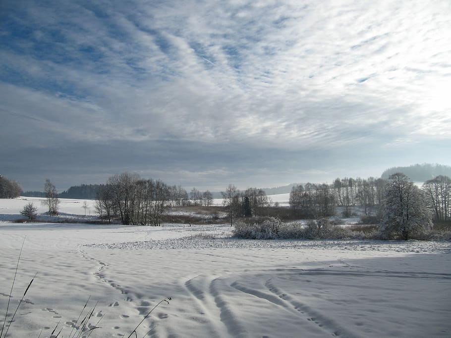 Winter, Landscape, Snow, Wintry, cold temperature, weather HD wallpaper