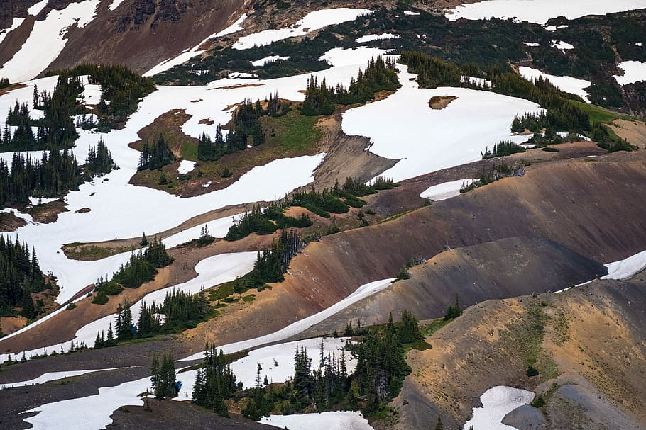 snow coated mountain range, top view photo of green trees at mountain during daytime HD wallpaper