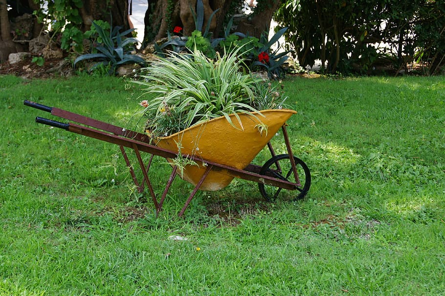 meadow, deco, park, green, parks, nature, plant, wheelbarrow HD wallpaper