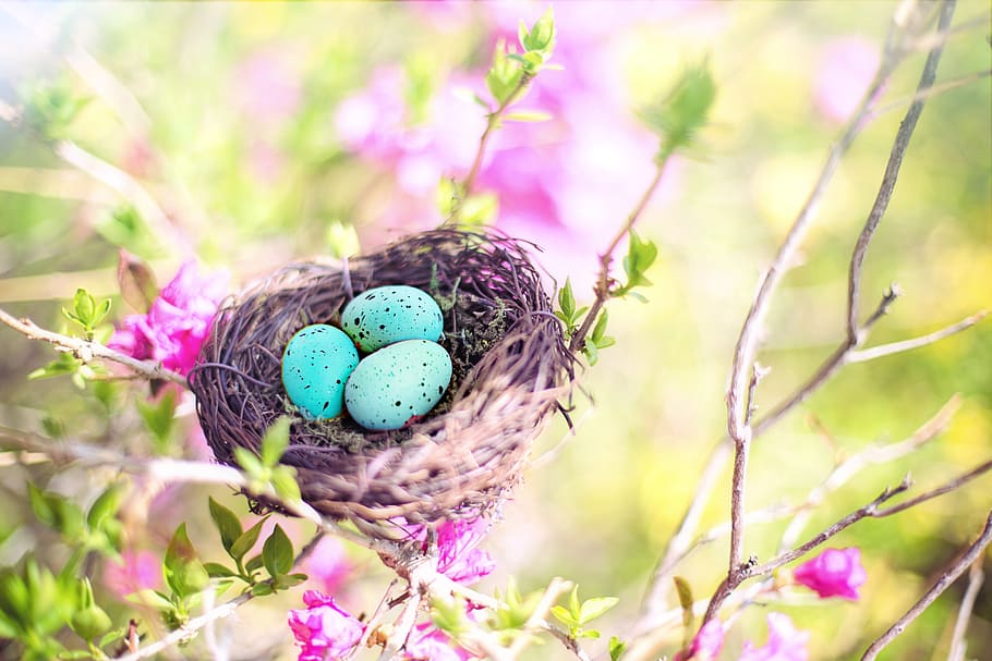 Desktop Wallpapers Easter Eggs Nest Holidays boards