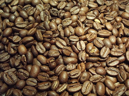 coffee, beans, coffee beans, caffeine, brown, roasted, cappuccino HD wallpaper