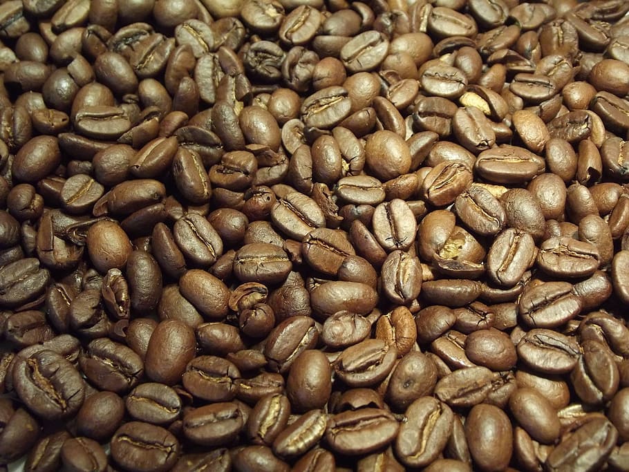 coffee, beans, coffee beans, caffeine, brown, roasted, cappuccino HD wallpaper