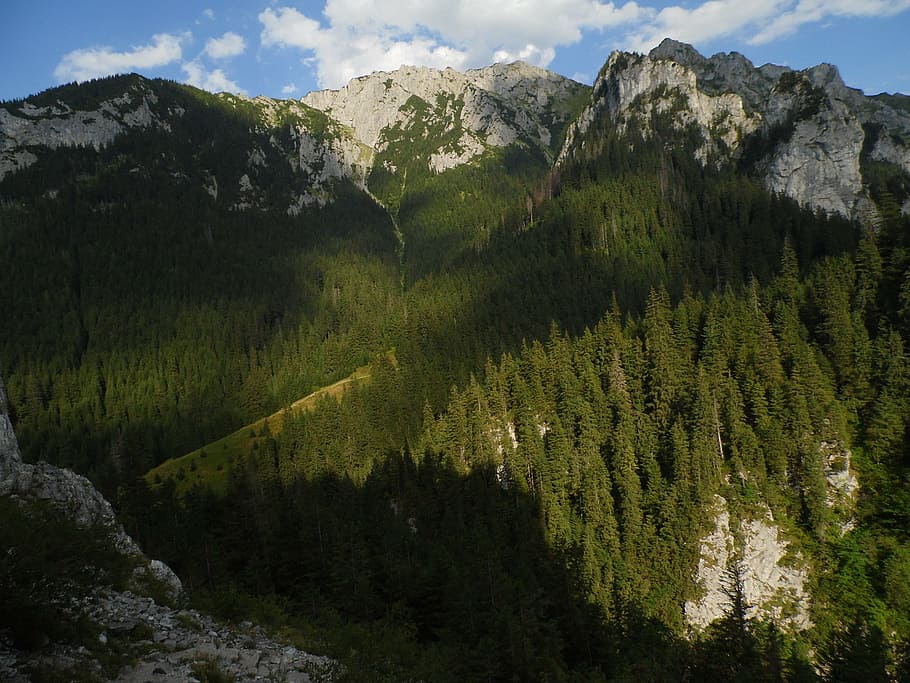 mountains, nature, landscape, view, poland, top view, beauty in nature HD wallpaper