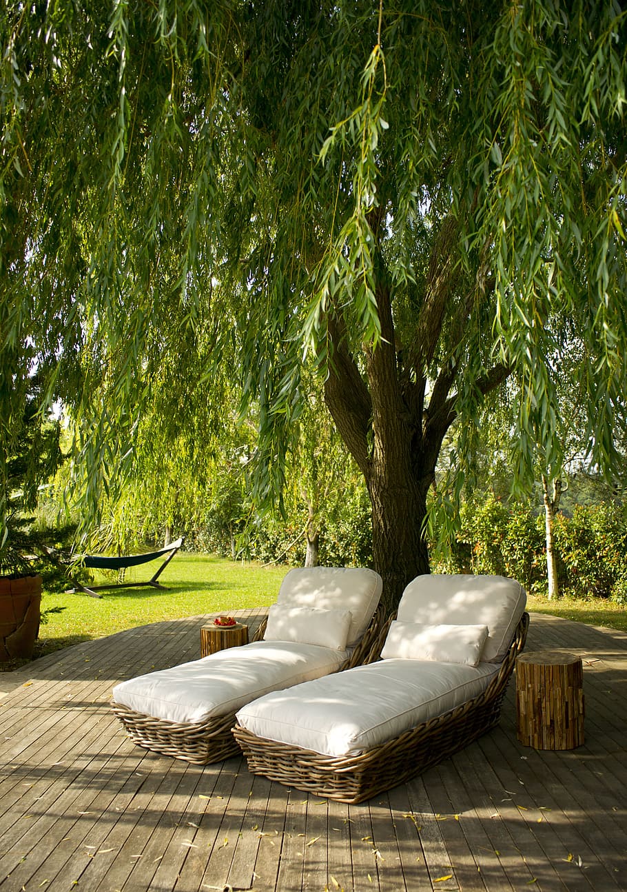 pool, holiday, sunbeds, relax, tree, nature, plant, summer HD wallpaper