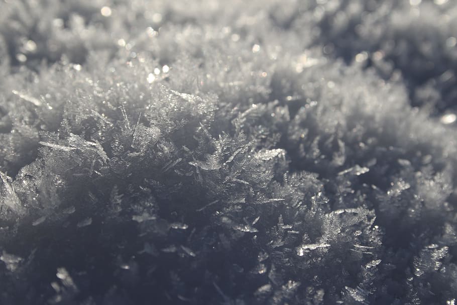 closeup of snows, frost, winter, white, denmark, crystal, selective focus HD wallpaper