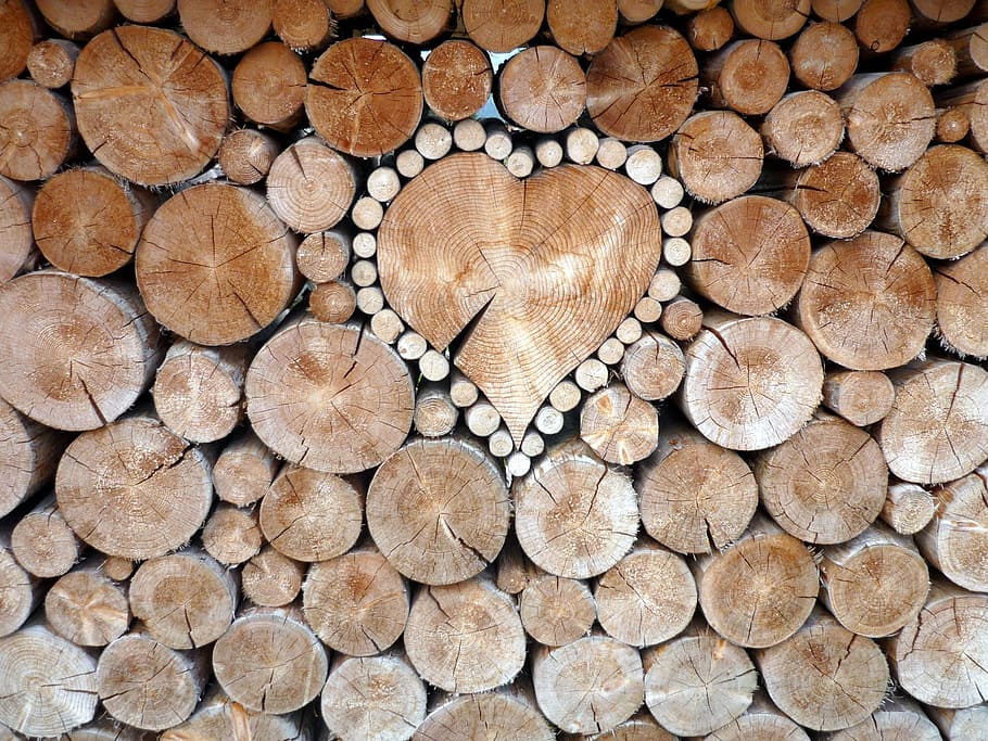 background, texture, pile, wood, pattern, log, timber, full frame HD wallpaper