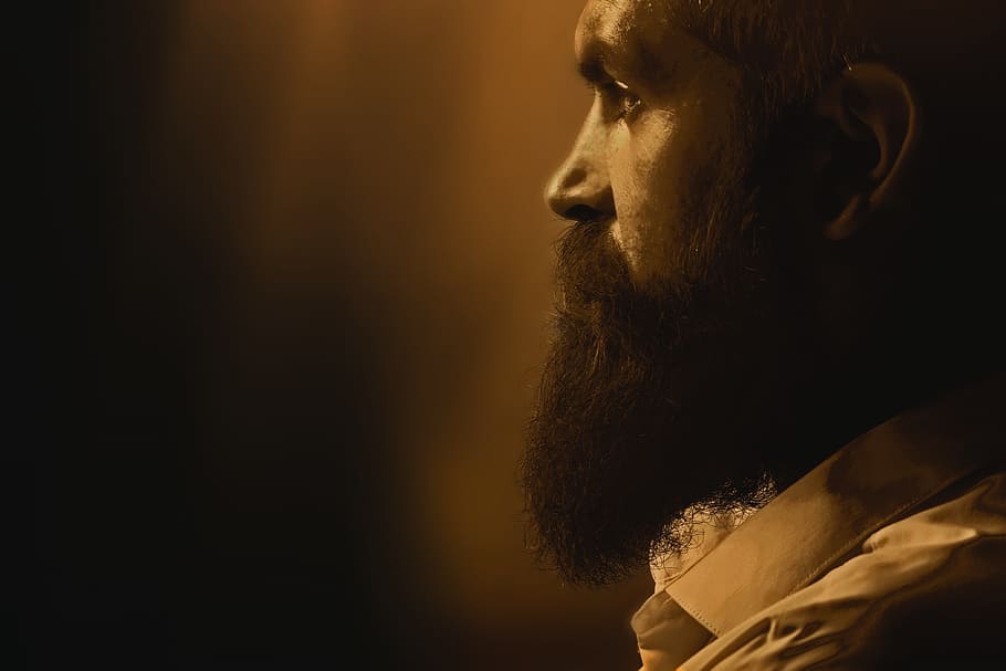 gold, bearded, men, facial hair, one person, looking, side view HD wallpaper