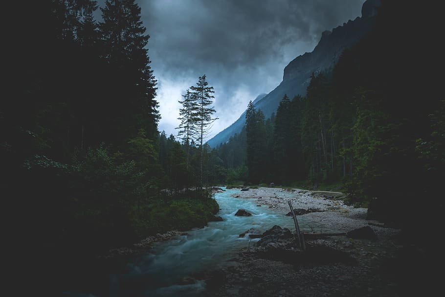 flowing river between tall trees, river between trees, forest river HD wallpaper