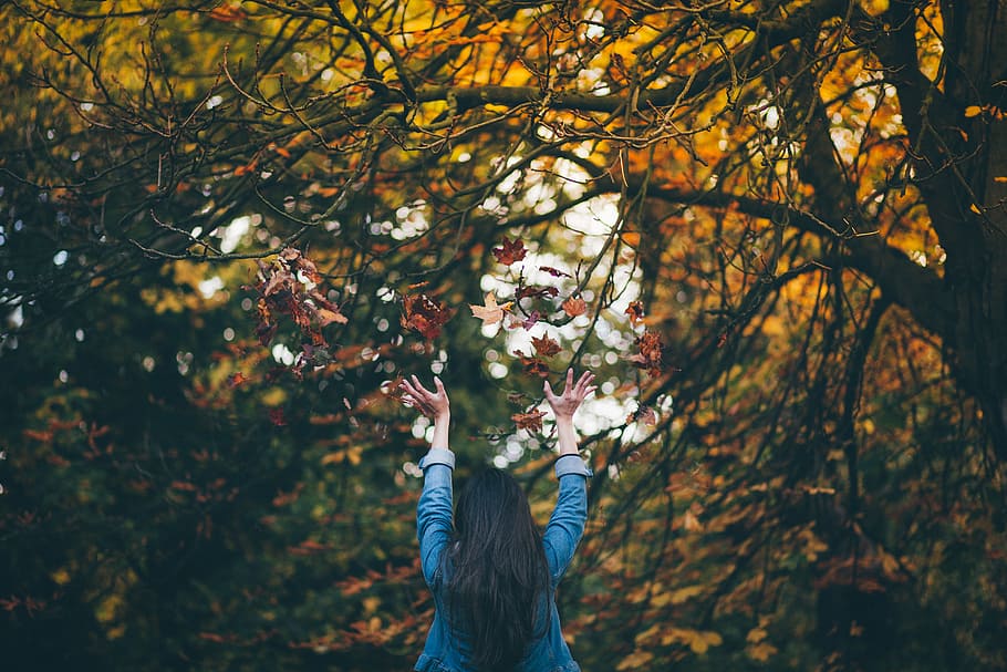 man in blue long-sleeved top under tree, woman standing under brown leaf tree during daytime HD wallpaper