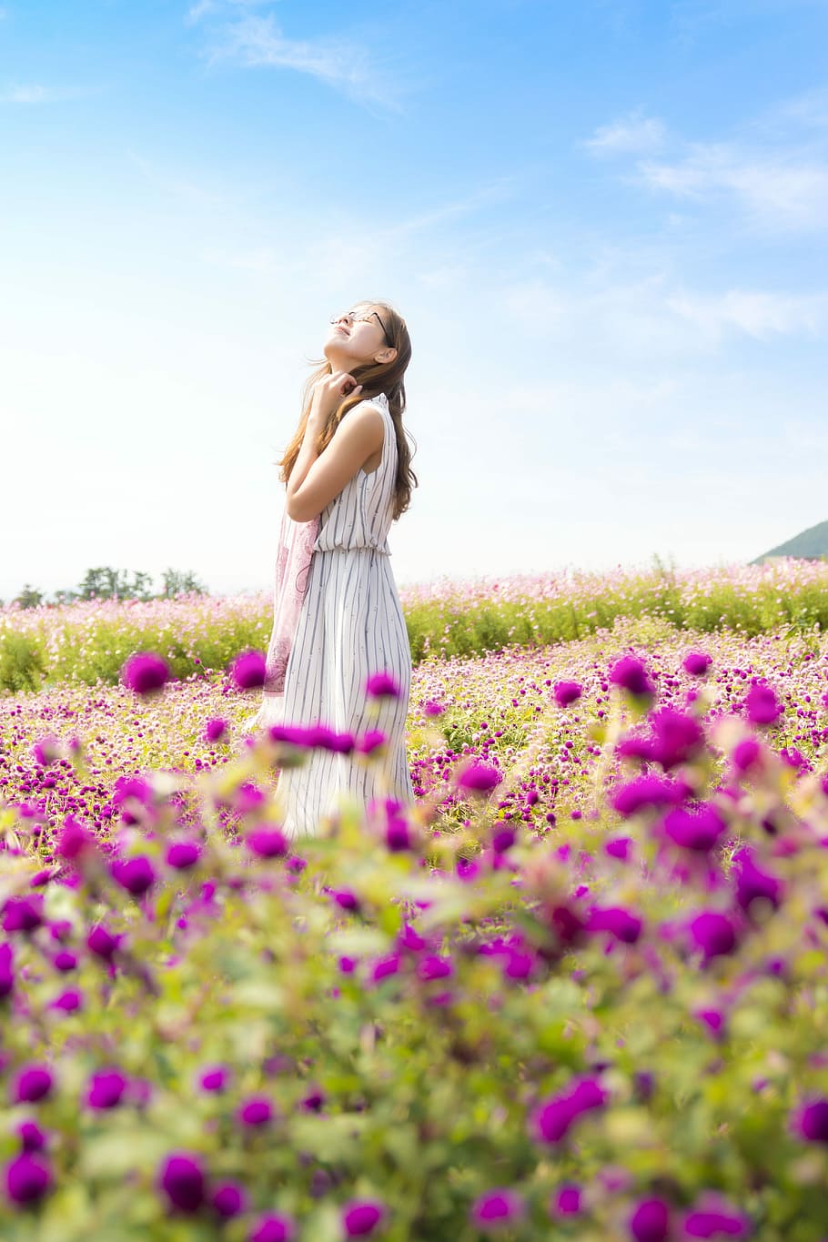standing woman surrounded by purple flowers during daytime, field, HD wallpaper