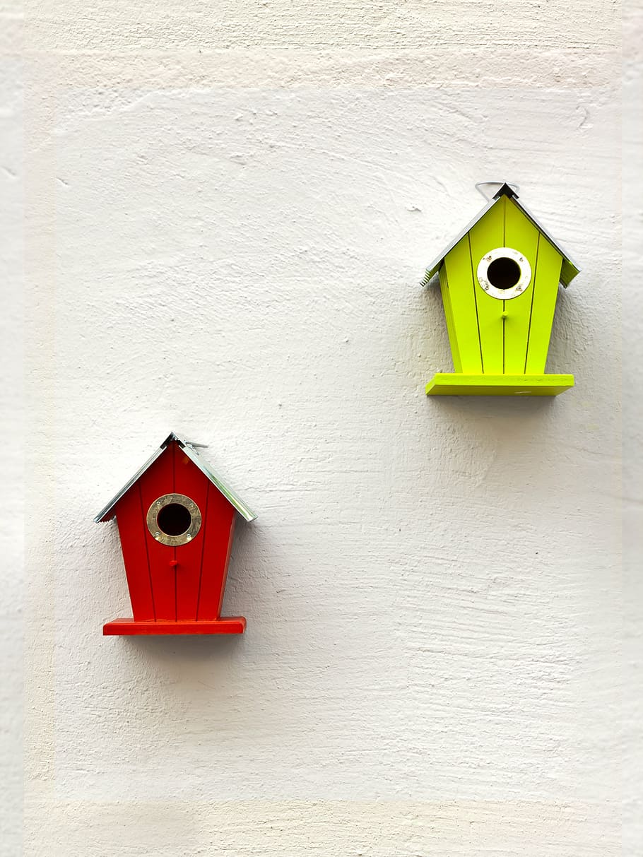 aviary, green, birds, red, nesting place, bird feeder, incubator HD wallpaper