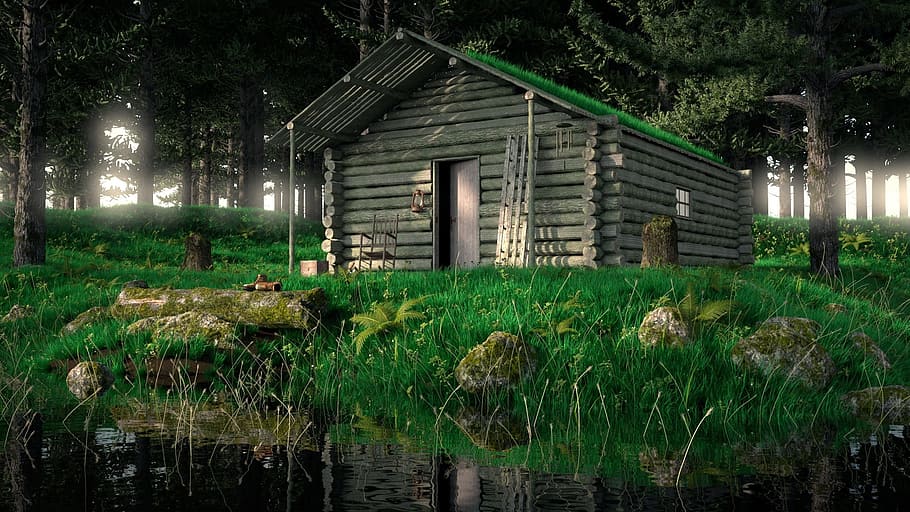 brown log house near swamp during night time, rustic, trees, water, HD wallpaper