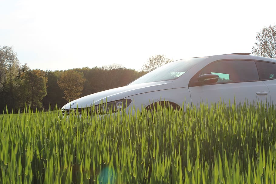 vw, scirocco, auto, field, pkw, dare, vehicle, volkswagen, plant HD wallpaper