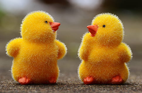 two duckling toys on pavement selective focus photography, chicks HD wallpaper