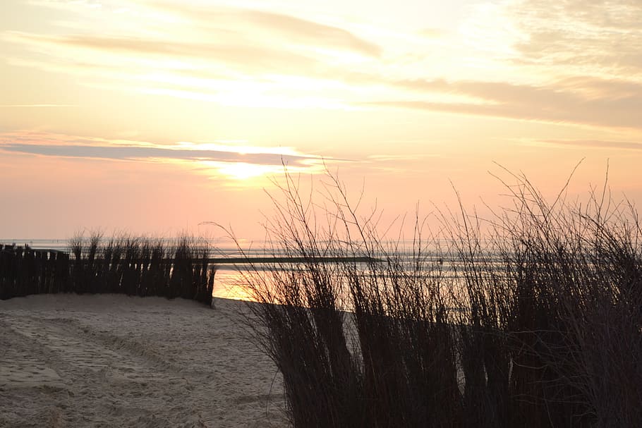 Beach, Evening, Sunset, Mood, Silhouette, afterglow, dusk, tranquil scene HD wallpaper