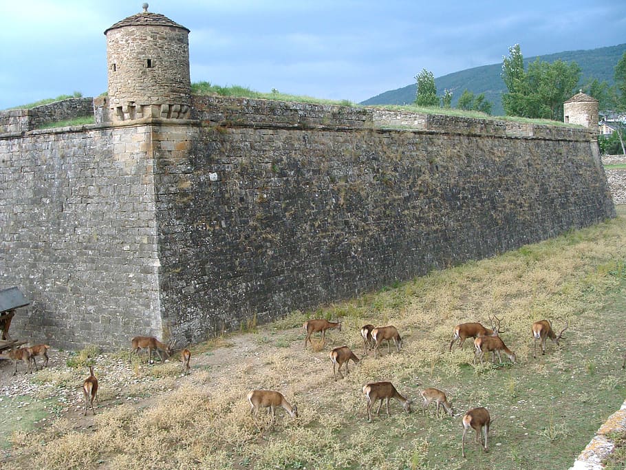 citadel, fortification, jaca, huesca, jacetania, built structure HD wallpaper