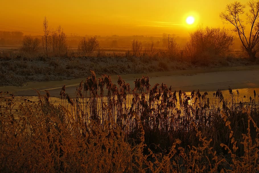 river, winter, sunset, light, frost, golden hour, cane, water HD wallpaper