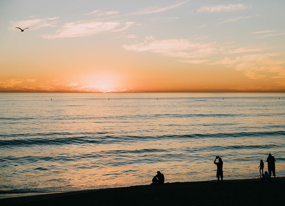 people on beach during sunrise, silhouette of people standing and sitting near seashore during sunset HD wallpaper