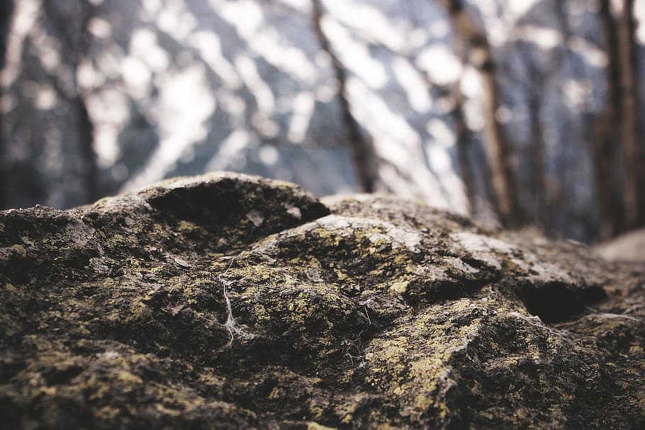 shallow focus photography of brown stone, close-up photography brown and gray stone HD wallpaper