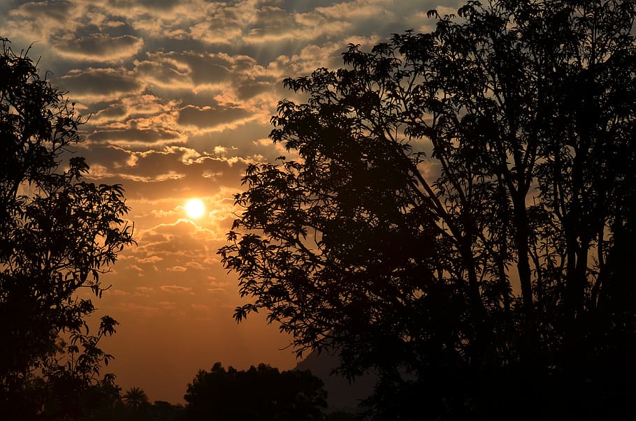 sunset, early mornings, winter, sunlight, clouds, silhouettes HD wallpaper
